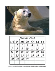 Kalender-2013-1-12-Tiere.pdf